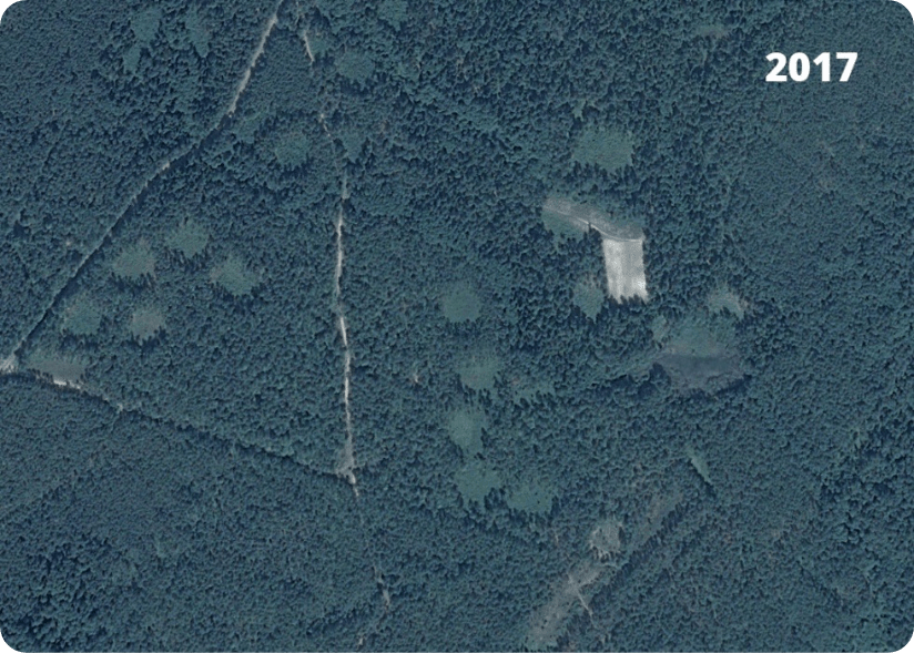 deforestation 2017